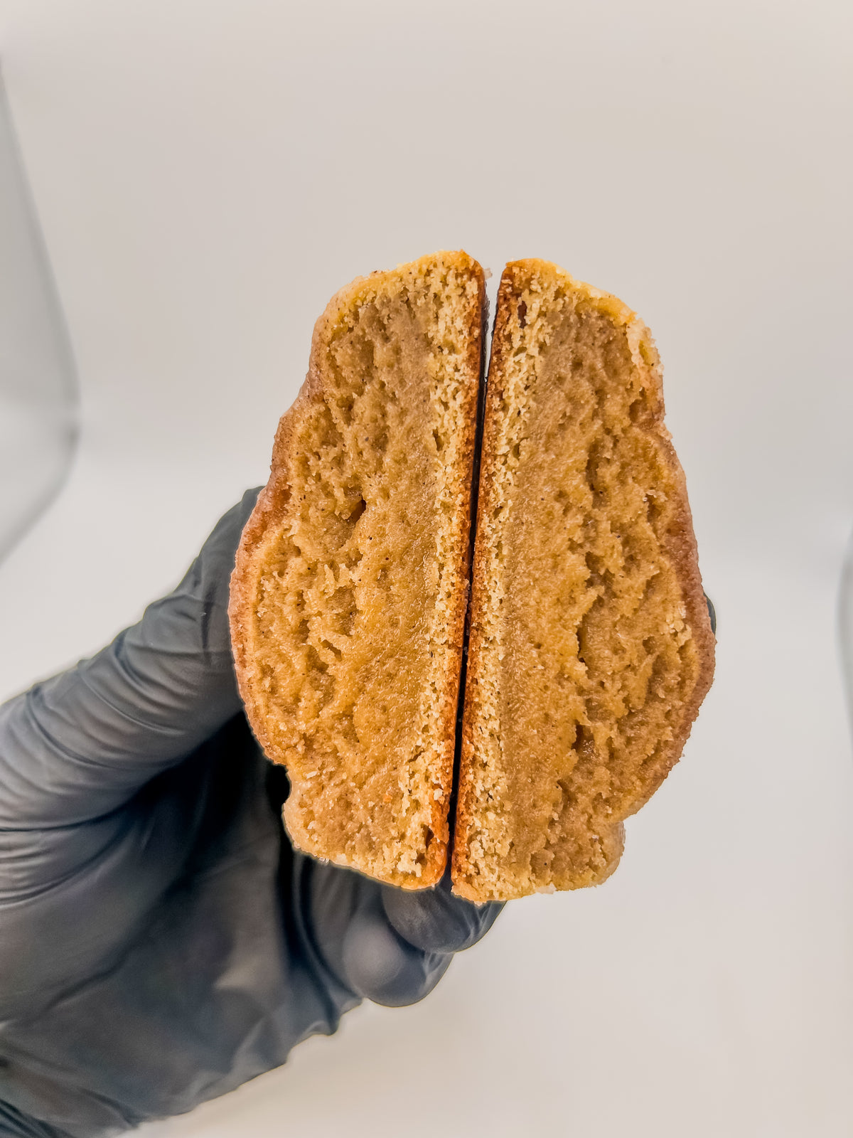 Apple Cider Donut