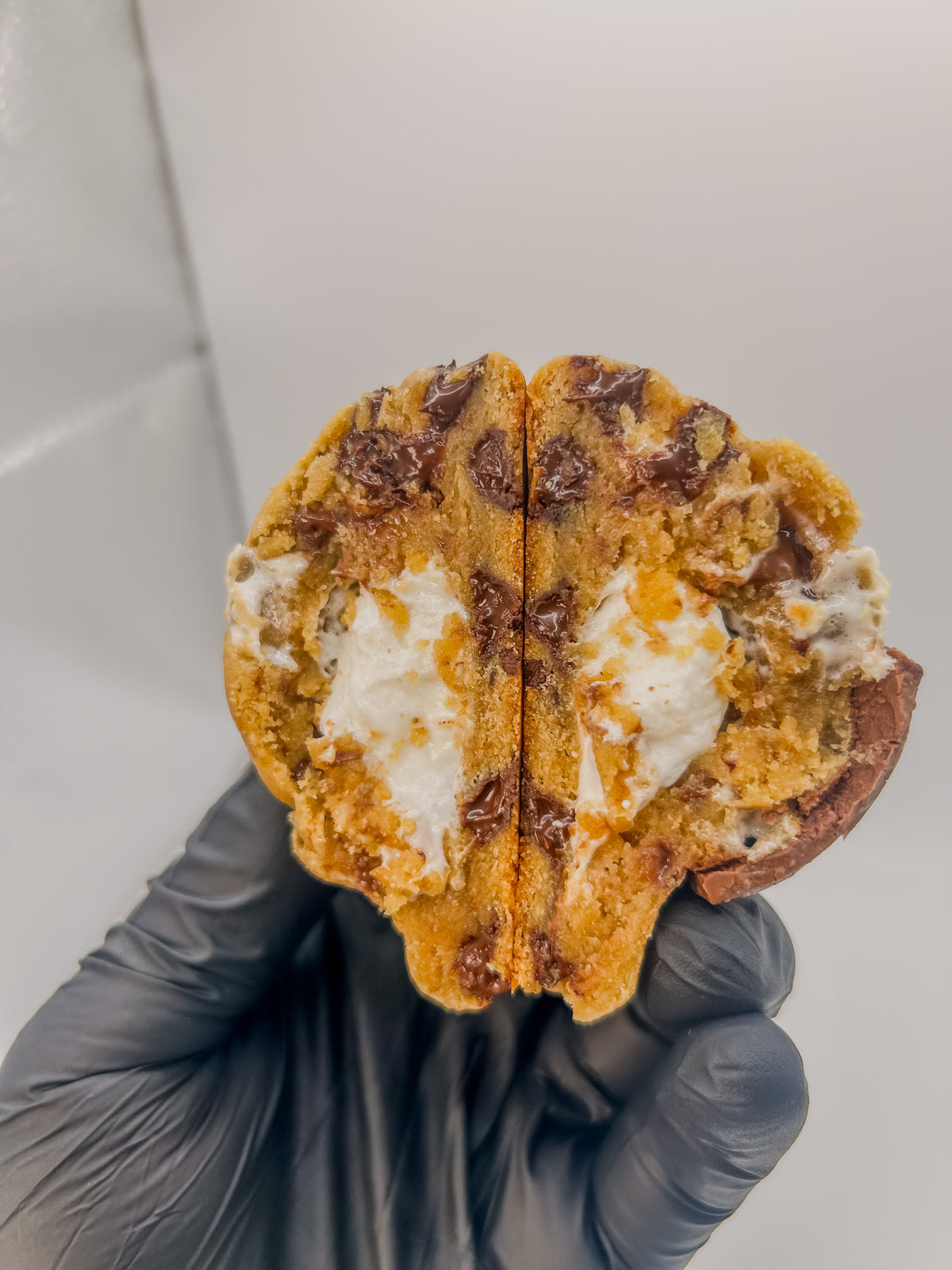 Campfire S’mores